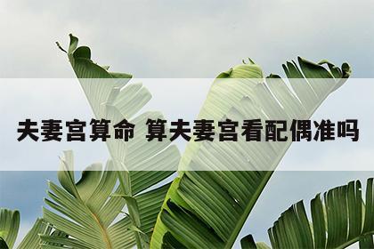夫妻宫算命 算夫妻宫看配偶准吗