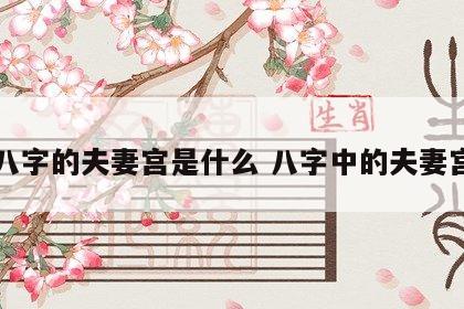 八字的夫妻宫是什么 八字中的夫妻宫