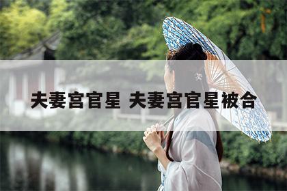 夫妻宫官星 夫妻宫官星被合