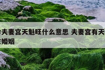 女命夫妻宫天魁旺什么意思 夫妻宫有天魁的女性婚姻