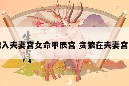 贪狼入夫妻宫女命甲辰宫 贪狼在夫妻宫女命