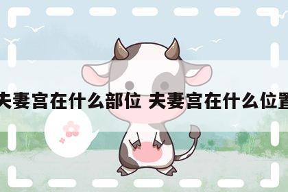 夫妻宫在什么部位 夫妻宫在什么位置