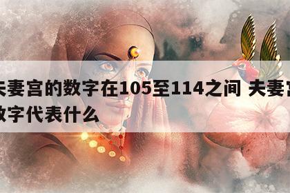 夫妻宫的数字在105至114之间 夫妻宫数字代表什么