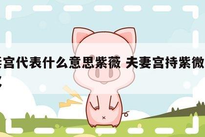 夫妻宫代表什么意思紫薇 夫妻宫持紫微诸星意义
