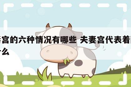 夫妻宫的六种情况有哪些 夫妻宫代表着配偶的什么