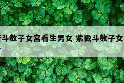 紫薇斗数子女宫看生男女 紫微斗数子女宫怎么看