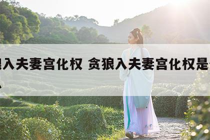 贪狼入夫妻宫化权 贪狼入夫妻宫化权是什么意思