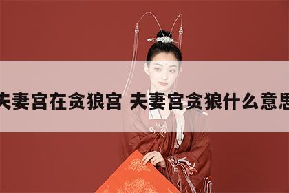 夫妻宫在贪狼宫 夫妻宫贪狼什么意思