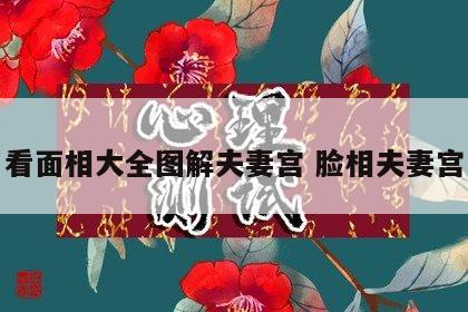 看面相大全图解夫妻宫 脸相夫妻宫