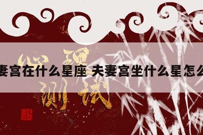 夫妻宫在什么星座 夫妻宫坐什么星怎么看