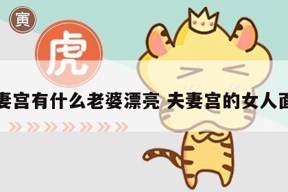 夫妻宫有什么老婆漂亮 夫妻宫的女人面相