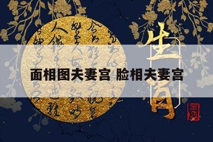 面相图夫妻宫 脸相夫妻宫