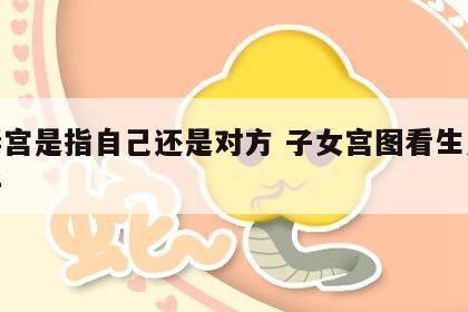 夫妻宫是指自己还是对方 子女宫图看生几个孩子