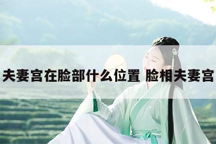 夫妻宫在脸部什么位置 脸相夫妻宫