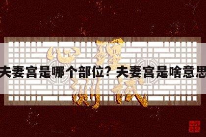 夫妻宫是哪个部位? 夫妻宫是啥意思