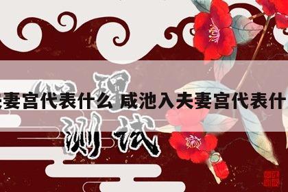 夫妻宫代表什么 咸池入夫妻宫代表什么