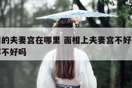 面相的夫妻宫在哪里 面相上夫妻宫不好一辈子都不好吗