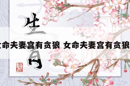 女命夫妻宫有贪狼 女命夫妻宫有贪狼旺