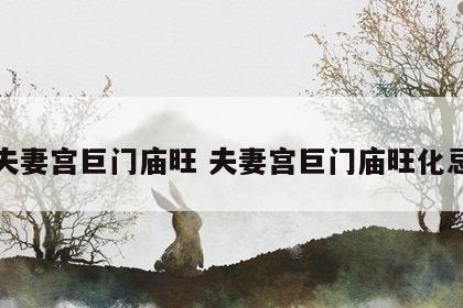 夫妻宫巨门庙旺 夫妻宫巨门庙旺化忌