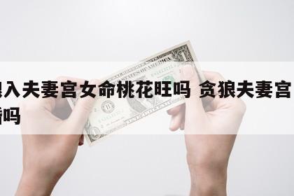 贪狼入夫妻宫女命桃花旺吗 贪狼夫妻宫一定二婚吗
