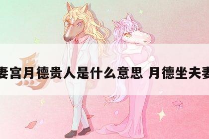 夫妻宫月德贵人是什么意思 月德坐夫妻宫