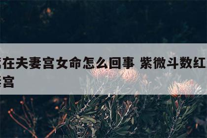 红鸾在夫妻宫女命怎么回事 紫微斗数红鸾在夫妻宫