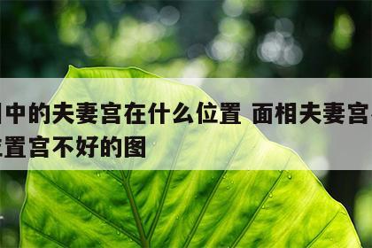 面相中的夫妻宫在什么位置 面相夫妻宫在什么位置宫不好的图