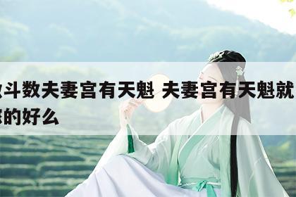 紫微斗数夫妻宫有天魁 夫妻宫有天魁就一定能嫁的好么