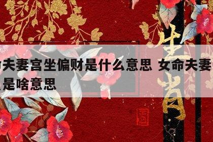女命夫妻宫坐偏财是什么意思 女命夫妻宫坐官星是啥意思