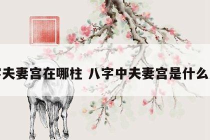 八字夫妻宫在哪柱 八字中夫妻宫是什么意思