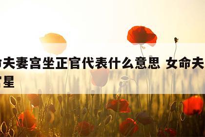 女命夫妻宫坐正官代表什么意思 女命夫妻宫坐官星