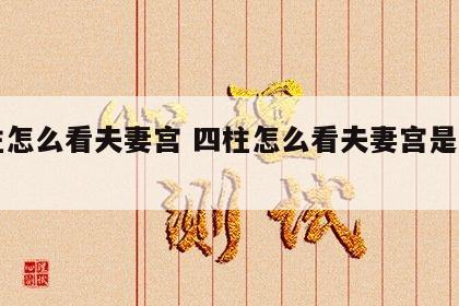 四柱怎么看夫妻宫 四柱怎么看夫妻宫是否相克