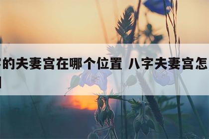 八字的夫妻宫在哪个位置 八字夫妻宫怎么看婚姻