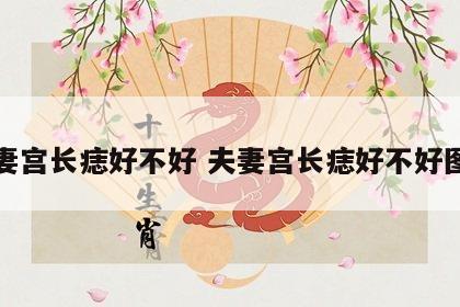 夫妻宫长痣好不好 夫妻宫长痣好不好图解
