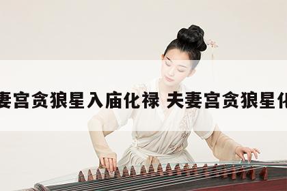 夫妻宫贪狼星入庙化禄 夫妻宫贪狼星化权