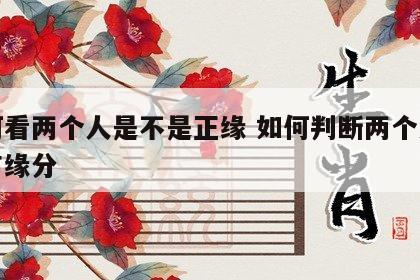 如何看两个人是不是正缘 如何判断两个人是否有缘分
