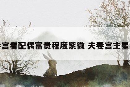 夫妻宫看配偶富贵程度紫微 夫妻宫主星紫微