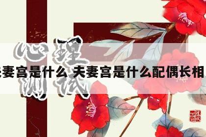 夫妻宫是什么 夫妻宫是什么配偶长相美