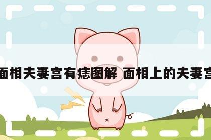 面相夫妻宫有痣图解 面相上的夫妻宫