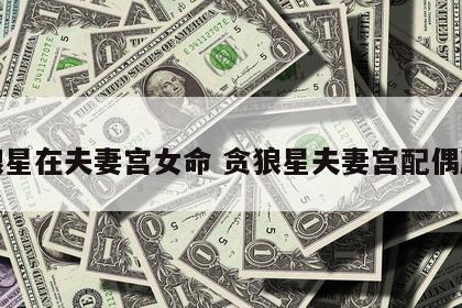 贪狼星在夫妻宫女命 贪狼星夫妻宫配偶颜值