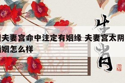 太阴夫妻宫命中注定有姻缘 夫妻宫太阴入庙的婚姻怎么样