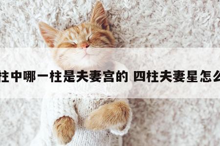 四柱中哪一柱是夫妻宫的 四柱夫妻星怎么找