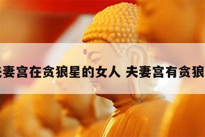 夫妻宫在贪狼星的女人 夫妻宫有贪狼星