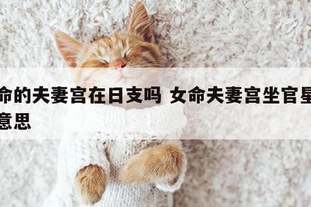 女命的夫妻宫在日支吗 女命夫妻宫坐官星是啥意思