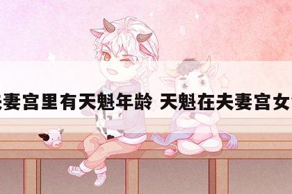 夫妻宫里有天魁年龄 天魁在夫妻宫女命