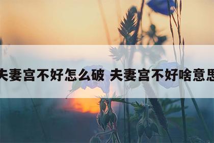 夫妻宫不好怎么破 夫妻宫不好啥意思