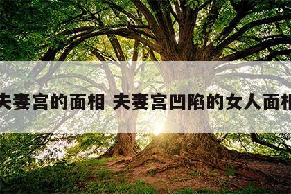 夫妻宫的面相 夫妻宫凹陷的女人面相