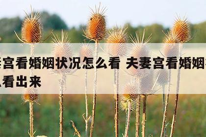 夫妻宫看婚姻状况怎么看 夫妻宫看婚姻状况怎么看出来