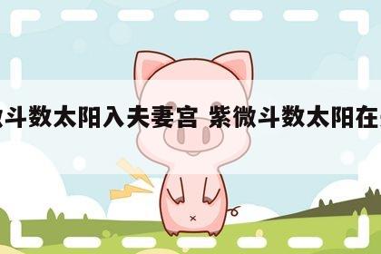 紫微斗数太阳入夫妻宫 紫微斗数太阳在夫妻宫