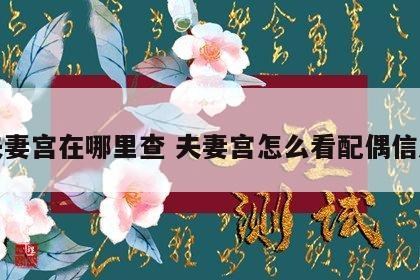 夫妻宫在哪里查 夫妻宫怎么看配偶信息